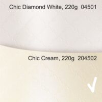 10490-5eccddddb400c7-10805698-Inkedchic-diamond-white-creme-204501-204502-LI