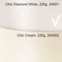 10492-5eccde79dae8e1-12073305-Inkedchic-diamond-white-creme-204501-204502-LI